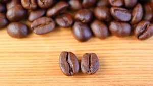 Roasted Arabica bean (left) compared to Robusta bean (right)